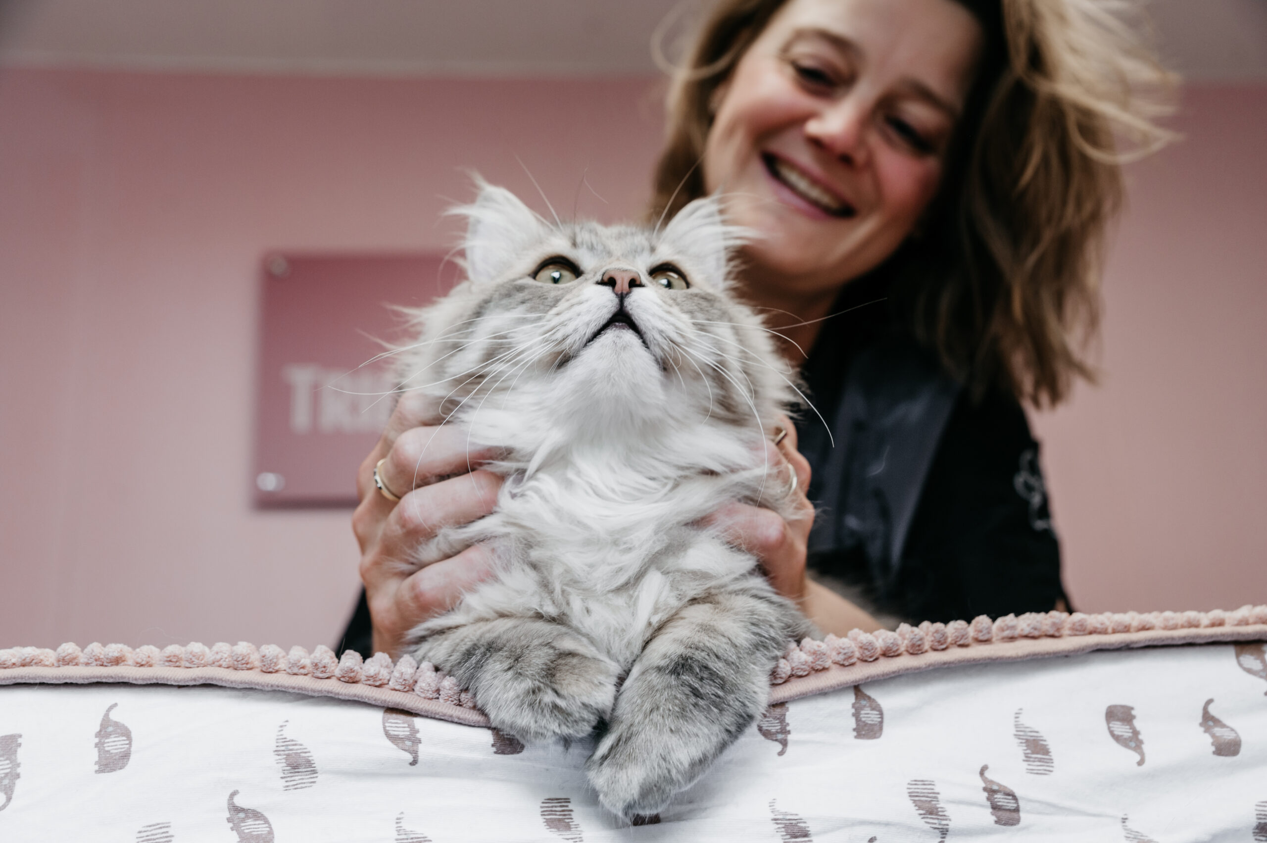 kattentrimsalon voorburg