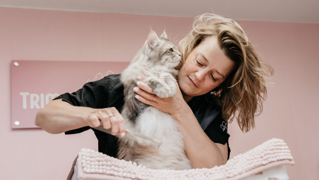 langharige kat trimmen Voorburg